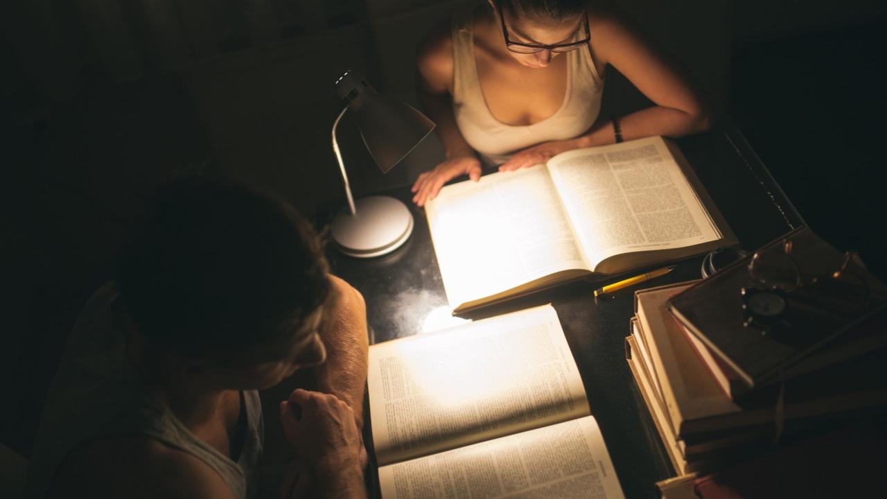 Mahasiswa Dan Peran Magang Dalam Meningkatkan Kompetensi Profesional