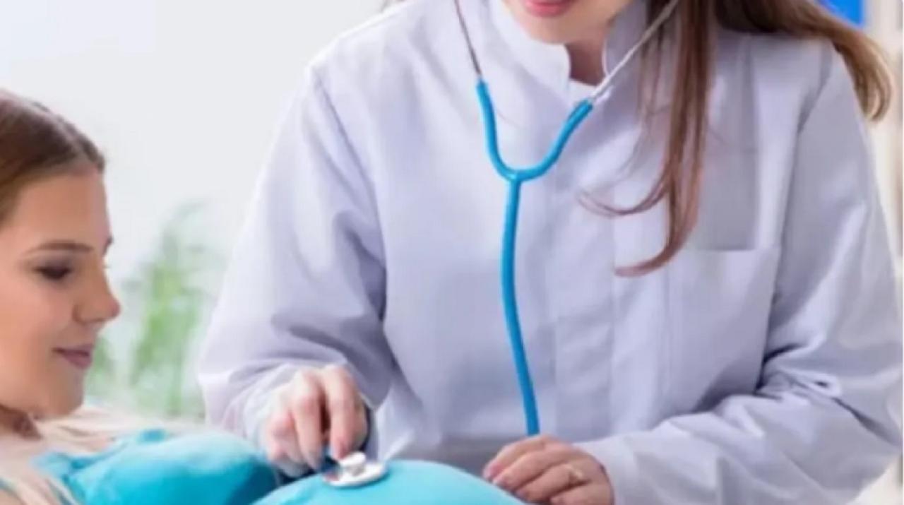 Peran Strategis Ikatan Bidan Indonesia Dalam Meningkatkan Kesehatan Ibu Dan Anak Di Era Digital