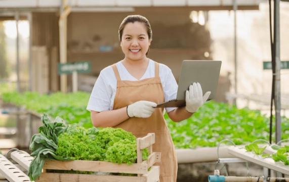 Gambar Artikel Jurusan Agribisnis Di Bandung: Pilihan Tepat Untuk Masa Depan Cerah Bersama Universitas Ma’soem