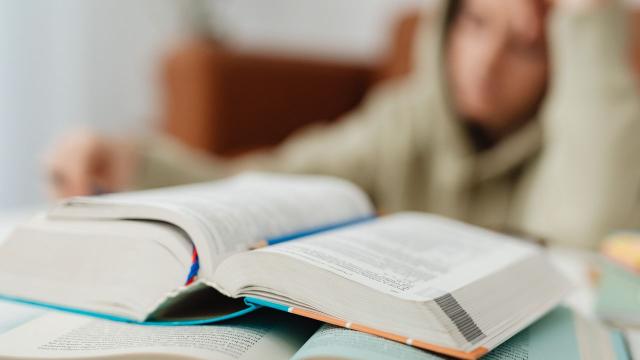 Gambar Artikel Strategi Universitas Indonesia Dalam Membangun Generasi Mahasiswa Berkarakter, Adaptif, Dan Berdaya Saing Global