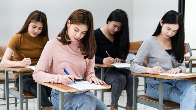 Gambar Artikel Mahasiswa Dan Pengalaman Magang Sebagai Jembatan Ke Dunia Profesional