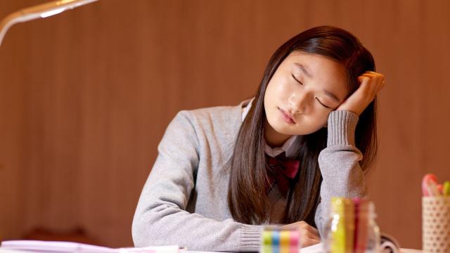 Mahasiswa Dan Dinamika Hubungan Dengan Dosen Di Perguruan Tinggi