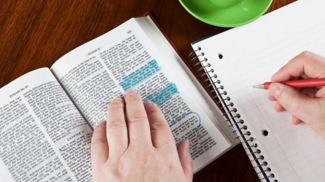 Gambar Artikel Pengembangan Karier Mahasiswa Melalui Magang Di Dunia Profesional