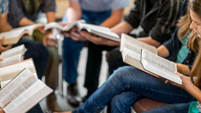 Gambar Artikel Manfaat Sinergi Magang, Proyek Praktis, Dan Organisasi Bagi Karier Mahasiswa