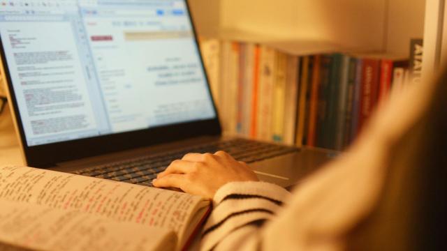 Program Studi Ekonomi Dan Peluang Karier Lulusan