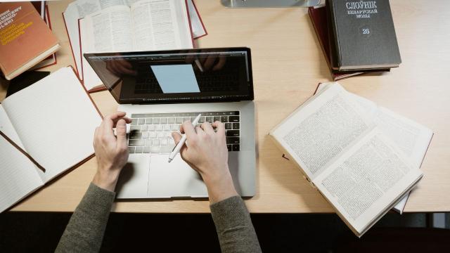 Program Studi Bisnis Dan Manajemen Serta Prospek Karier Lulusan