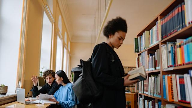 Mahasiswa, Pilihan Program Studi, Dan Persiapan Menghadapi Dunia Kerja