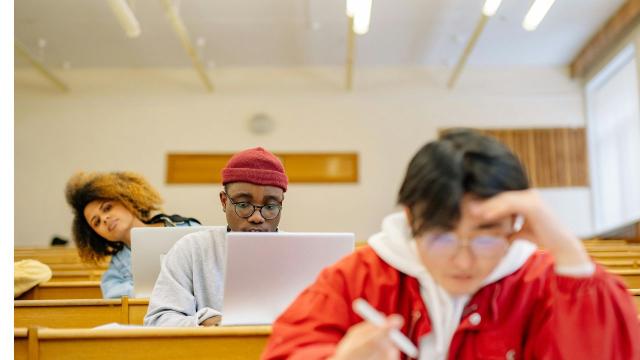 Gambar Artikel Strategi Universitas Dalam Mengembangkan Potensi Mahasiswa Secara Inklusif