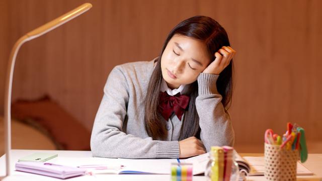 Gambar Artikel Dinamika Kampus Modern: Antara Tuntutan Akademik Dan Pengembangan Diri