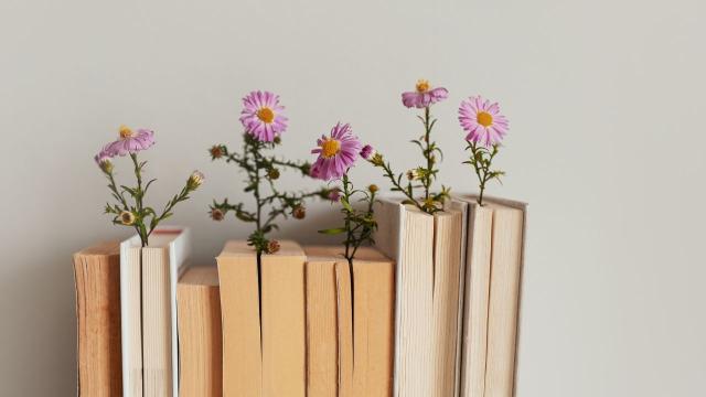 Gambar Artikel Dinamika Kehidupan Mahasiswa: Menyeimbangkan Studi, Organisasi, Dan Kesehatan Di Era Modern