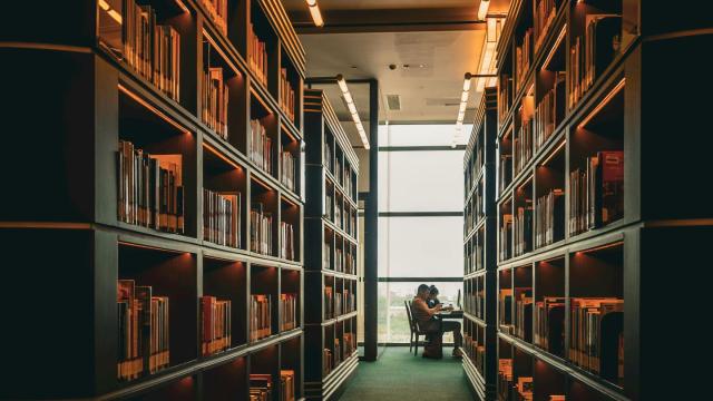 Mahasiswa Visioner: Mengintegrasikan Pendidikan Karakter, Kesehatan, Dan Kreativitas