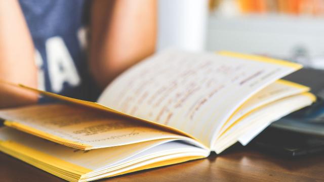 Menjadi Mahasiswa Aktif Dan Seimbang: Kunci Bertahan Dan Berkembang Di Dunia Kampus