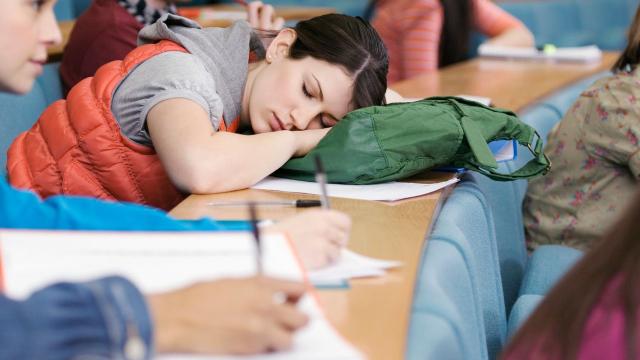 Gambar Artikel Di Antara Jadwal Padat Dan Harapan Tinggi: Potret Kehidupan Mahasiswa Indonesia