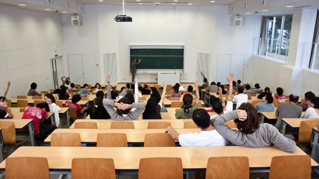 Gambar Artikel Mahasiswa Dan Dunia Kerja, Antara Harapan Dan Kesiapan