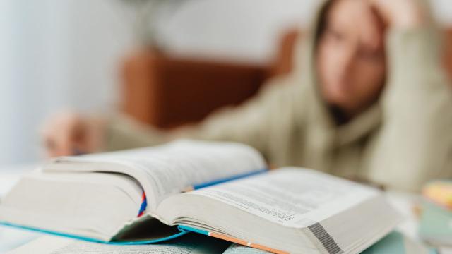 Gambar Artikel Mahasiswa Dan Kehidupan Multikultural Di Kampus Indonesia