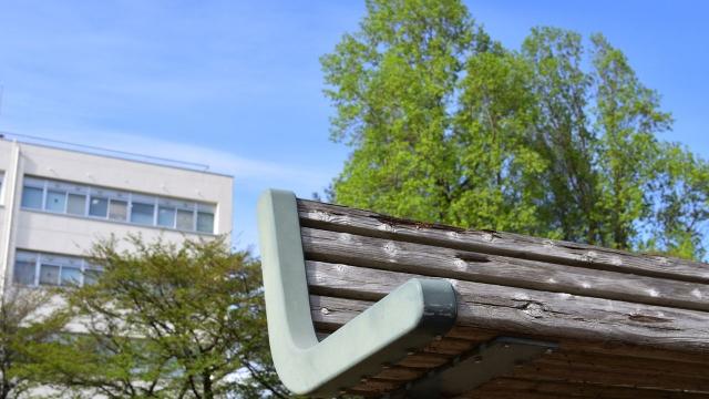 Menjadi Mahasiswa Di Indonesia: Proses Belajar Hidup Mandiri Dan Bersosialisasi