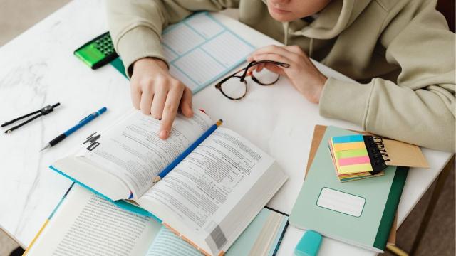 Perjalanan Mahasiswa Indonesia Menuju Dunia Kerja: Peran Kampus Dan Pengalaman Kuliah