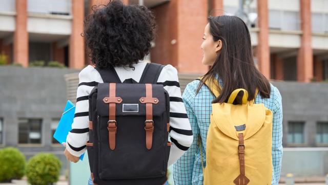 Kehidupan Mahasiswa Di Indonesia Dalam Mengasah Kepemimpinan Dan Kerja Sama