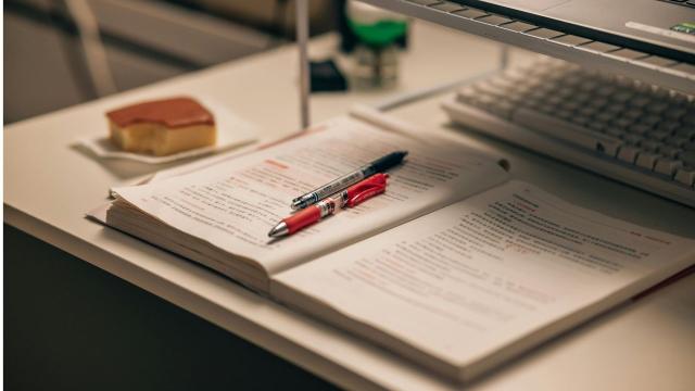 Gambar Artikel Mahasiswa Indonesia Dan Dinamika Magang, Kerja Paruh Waktu, Serta Pengalaman Profesional