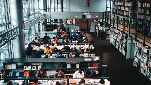 Antara Idealisme Dan Realitas: Cara Mahasiswa Menyikapi Dunia Kerja Sejak Bangku Kuliah