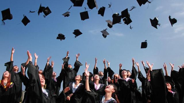 Gambar Artikel Mahasiswa Dan Pengalaman Magang Sebagai Jembatan Ke Dunia Kerja