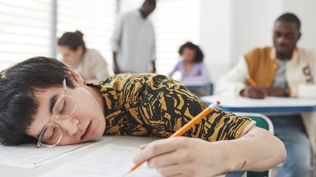 Gambar Artikel Kehidupan Akademik Mahasiswa: Tantangan Dan Strategi Sukses