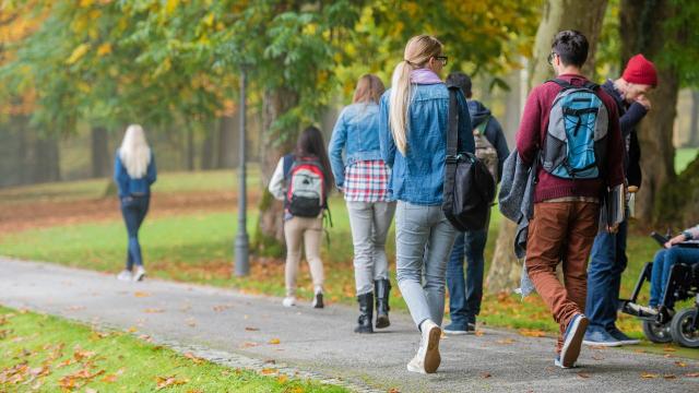 Gambar Artikel Peran Mahasiswa Dalam Meningkatkan Kreativitas Seni Di Kampus
