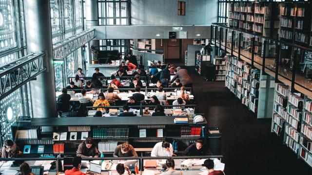 Gambar Artikel Tips Meningkatkan Motivasi Belajar Mahasiswa