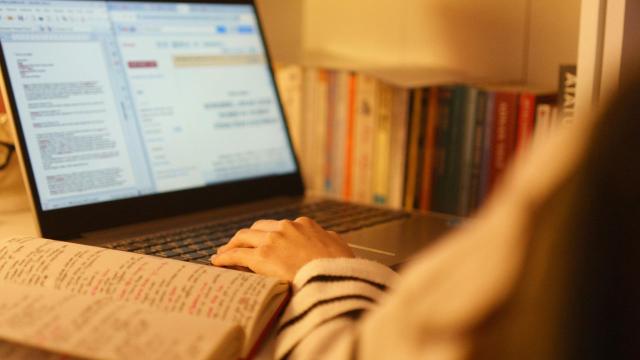 Gambar Artikel Pentingnya Magang Bagi Mahasiswa Sebagai Persiapan Dunia Kerja